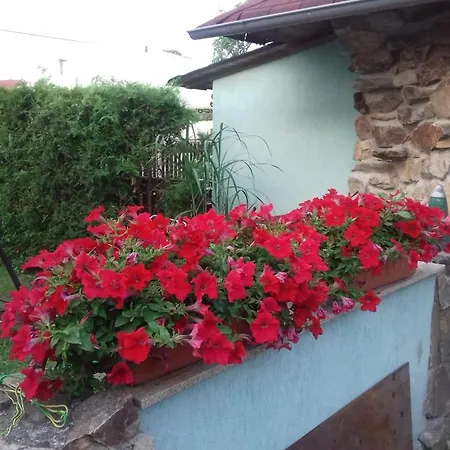 Apartamento Na Hlíně *